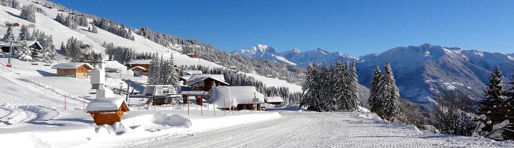 Les Saisies Bisanne Apartment Екстериор снимка